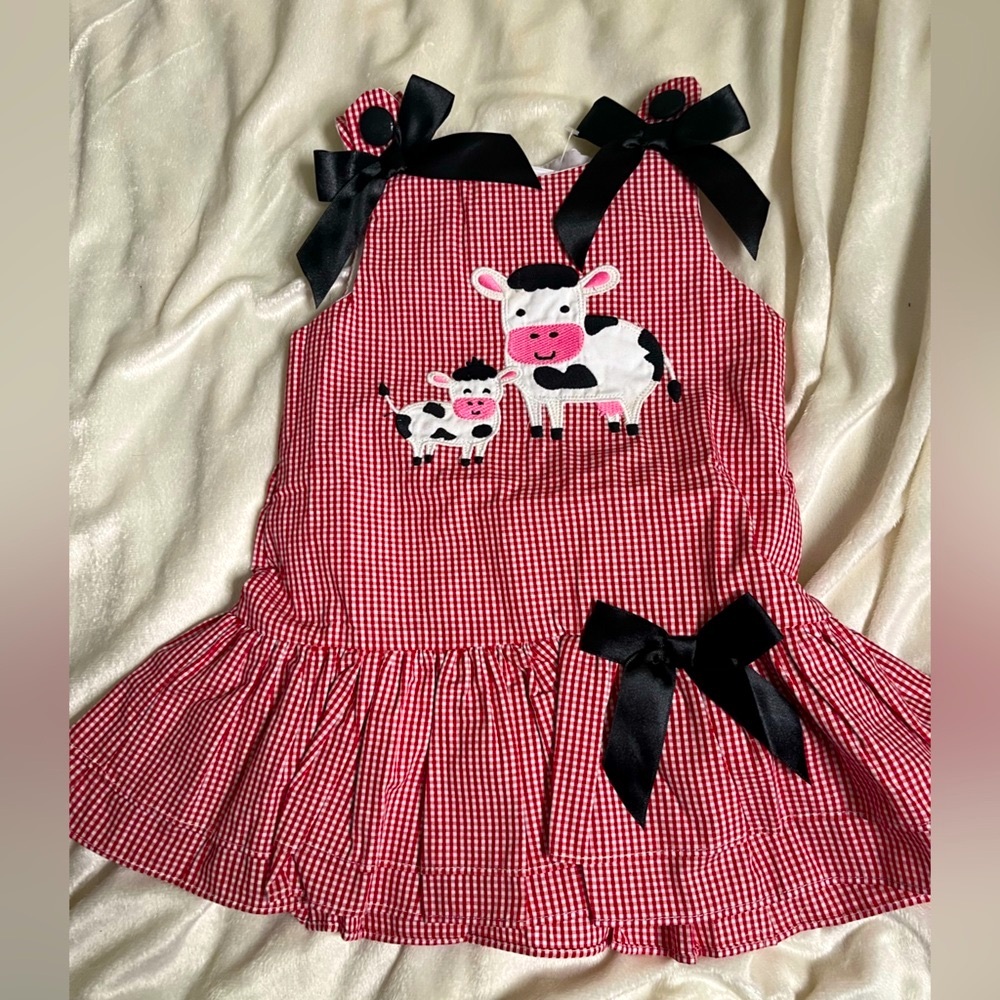 Size 2T Dress Cow Appliqué‎  “Lil Cactus” Lined Red White Gingham